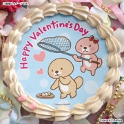 �Х�󥿥���ץꥱ����2026����ŵ�̥Хå��դ���[�ͷ⡪��å�����]