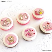 �ۥ磻�ȥǡ��ץ�ޥ�����6�ĥ��å�2026����ŵ�̥Хå��դ���[�ͷ⡪��å�����]