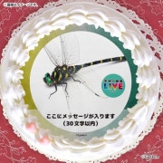 �ڥ�å���������ۥץꥱ�����ʥ��˥��ޡˡ���ŵ�����ɤޤ��ϴ̥Хå��դ���[�ظ��ο޴�LIVE]