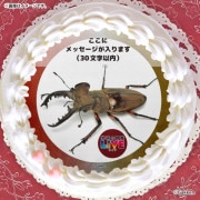 �ڥ�å���������ۥץꥱ�����ʥߥ�ޥ��塞���ˡ���ŵ�����ɤޤ��ϴ̥Хå��դ���[�ظ��ο޴�LIVE]