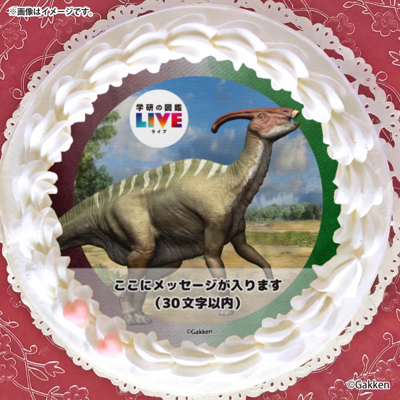 メッセージ入り】プリケーキ（パラサウロロフス）【特典カードまたは缶