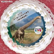 �ڥ�å���������ۥץꥱ�����ʥ֥饭�������륹�ˡ���ŵ�����ɤޤ��ϴ̥Хå��դ���[�ظ��ο޴�LIVE]