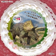 �ڥ�å���������ۥץꥱ�����ʥȥꥱ��ȥץ��ˡ���ŵ�����ɤޤ��ϴ̥Хå��դ���[�ظ��ο޴�LIVE]