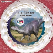 ڥåۥץꥱʥΥɥˡŵɤޤϴ̥Хåդ[ظο޴LIVE]