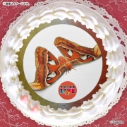 ץꥱʥʥ˥ˡŵɤޤϴ̥Хåդ[ظο޴LIVE]