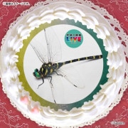 ץꥱʥ˥ޡˡŵɤޤϴ̥Хåդ[ظο޴LIVE]