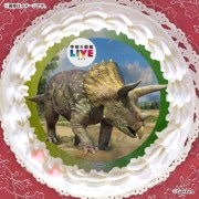 ץꥱʥȥꥱȥץˡŵɤޤϴ̥Хåդ[ظο޴LIVE]