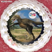 ץꥱʥǥΥ˥ˡŵɤޤϴ̥Хåդ[ظο޴LIVE]