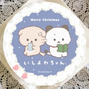 Xmasץꥱ2025Bˡŵ̥Хåդ[]