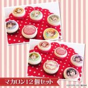 �Х�󥿥���ץ�ޥ�����12�ĥ��å�2026�ʽ���ˡ���ŵ���饹�ȥ������դ���[��֥饤�֡�]