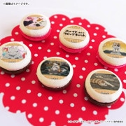 �Х�󥿥���ץ�ޥ�����6�ĥ��å�2026����ŵ�̥Хå��դ���[�˥㥤�ȡ����֡�������ӥ󥰥���å�]