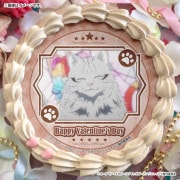 �Х�󥿥���ץꥱ����2026����ŵ�̥Хå��դ���[�˥㥤�ȡ����֡�������ӥ󥰥���å�]