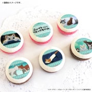 �ۥ磻�ȥǡ��ץ�ޥ�����6�ĥ��å�2026����ŵ�̥Хå��դ���[�˥㥤�ȡ����֡�������ӥ󥰥���å�]