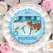 �ۥ磻�ȥǡ��ץꥱ����2026����ŵ�̥Хå��դ���[�˥㥤�ȡ����֡�������ӥ󥰥���å�]