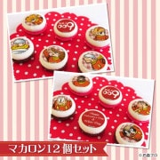 �Х�󥿥�����ۥ磻�ȥǡ��ץ�ޥ�����12�ĥ��å�2026����ŵ�̥Хå��դ���[�����ܡ���009]