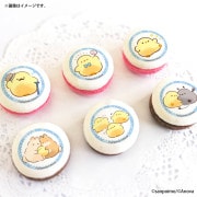 �ۥ磻�ȥǡ��ץ�ޥ�����6�ĥ��å�2026����ŵ�̥Хå��դ���[��եԥ�]