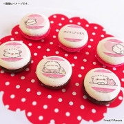 �Х�󥿥���ץ�ޥ�����6�ĥ��å�2026����ŵ�̥Хå��դ���[�ݥ��˥�����]