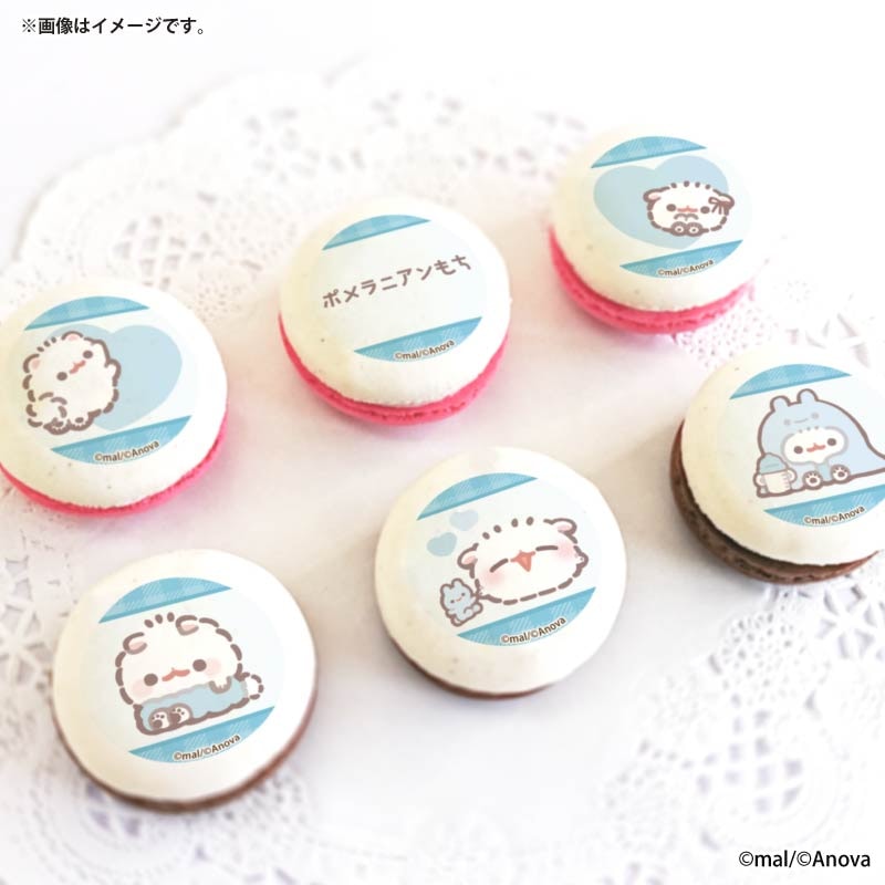 ホワイトデープリマカロン6個セット2026【特典缶バッジ付き