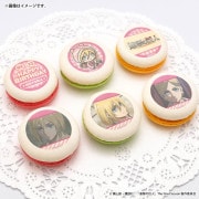 �С����ǡ��ץ�ޥ�����6�ĥ��å�2026�ʥҥ��ȥꥢ���쥤���ˡ���ŵ�̥Хå��դ���[�ʷ�ε��]