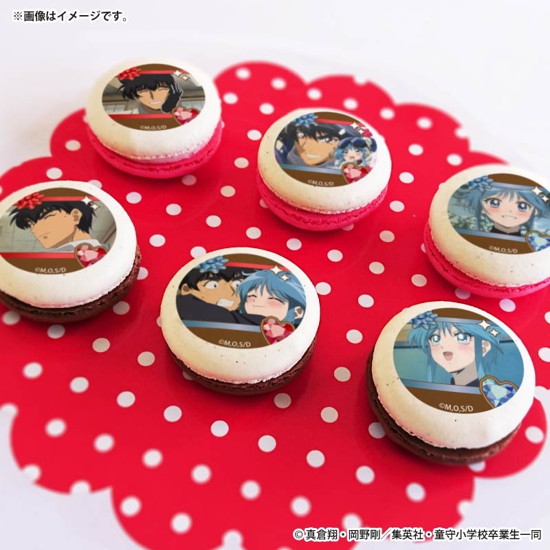 バレンタインプリマカロン6個セット2026（鵺野 鳴介&ゆきめ）【特典缶