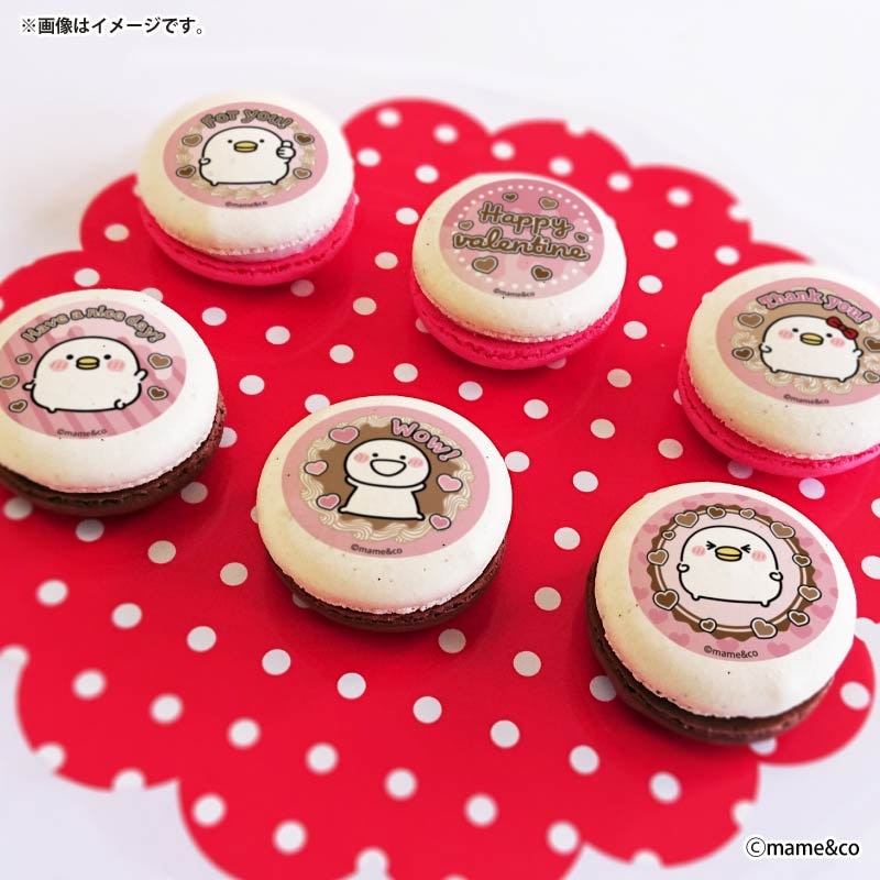 バレンタインプリマカロン6個セット2026（ピンクデザイン）【特典缶