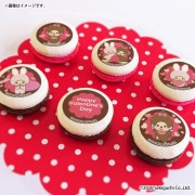 �Х�󥿥���ץ�ޥ�����6�ĥ��å�2026�ʥ��饹�ȡˡ���ŵ�̥Хå��դ���[�����å�]