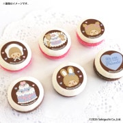 �ۥ磻�ȥǡ��ץ�ޥ�����6�ĥ��å�2026�ʥ��饹�ȡˡ���ŵ�̥Хå��դ���[�����å�]