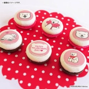 �Х�󥿥���ץ�ޥ�����6�ĥ��å�2026����ŵ�̥Хå��դ���[�������ޥ���ץ�]