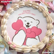 �Х�󥿥���ץꥱ����2026����ŵ�̥Хå��դ���[�������ޥ���ץ�]