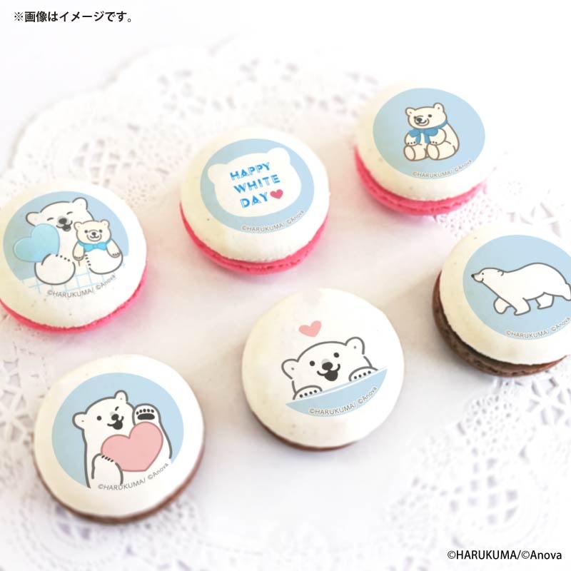 ホワイトデープリマカロン6個セット2026【特典缶バッジ付き】[シロクマ