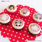 �Х�󥿥���ץ�ޥ�����6�ĥ��å�2026����ŵ�̥Хå��դ���[��ȿ�Фʷ�����]