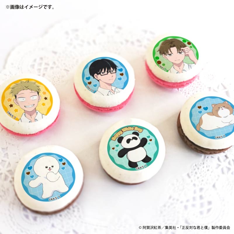 ホワイトデープリマカロン6個セット2026【特典缶バッジ付き】[正反対な