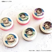 �ۥ磻�ȥǡ��ץ�ޥ�����6�ĥ��å�2026�ʥ�������󡦥��ߥ�������������ϥ󥸡������ˡ���ŵ�̥Хå��դ���[�ʷ�ε��]