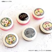 �ۥ磻�ȥǡ��ץ�ޥ�����6�ĥ��å�2026�ʶ����������ˡ���ŵ�̥Хå��դ���[��������ᥤ�ǥ�]