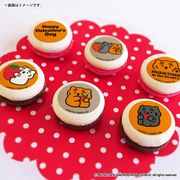 �Х�󥿥���ץ�ޥ�����6�ĥ��å�2026��A���ˡ���ŵ�̥Хå��դ���[MUZIK TIGER(�ॸ������������)]