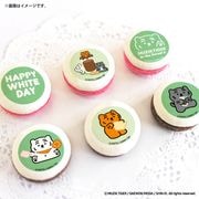 �ۥ磻�ȥǡ��ץ�ޥ�����6�ĥ��å�2026��B���ˡ���ŵ�̥Хå��դ���[MUZIK TIGER]