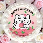 �ۥ磻�ȥǡ��ץꥱ����2026��A���ˡ���ŵ�̥Хå��դ���[MUZIK TIGER]