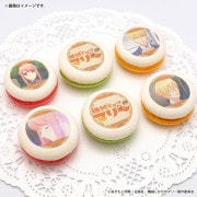 �ץ�ޥ�����6�ĥ��åȡʥޥ꡼�����������ˡ���ŵ�̥Хå��դ���[TV���˥�ص����������Υޥ꡼��]