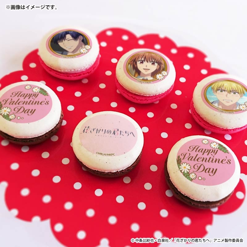 バレンタインプリマカロン6個セット2026【特典缶バッジ付き】[花ざかり