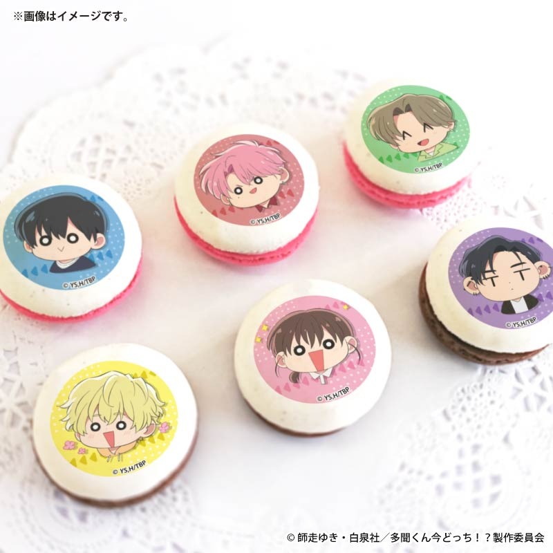 ホワイトデープリマカロン6個セット2026【特典缶バッジ付き】『多聞く