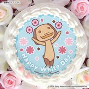 �ۥ磻�ȥǡ��ץꥱ����2026�ʥԥ�����ˡ���ŵ�̥Хå��դ���[�ɤ��Ǥ⤤�ä���]