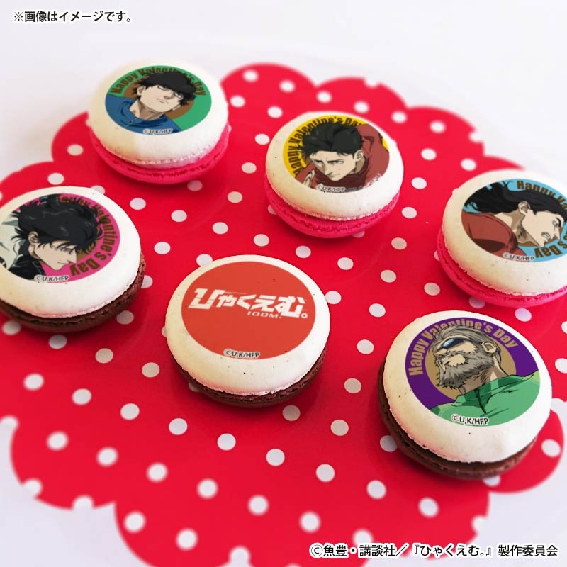 バレンタインプリマカロン6個セット2026【特典缶バッジ付き】[ひゃく