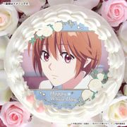 �ۥ磻�ȥǡ��ץꥱ����2026�ʰ����𵩡ˡ���ŵ�̥Хå��դ���[�֤�����η�������]