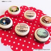 �Х�󥿥���ץ�ޥ�����6�ĥ��å�2026�ʥ���åȡ������륷����ͼΤ�ҡ����ȥ�ˡ���ŵ�̥Хå��դ���[���Ρ�����]