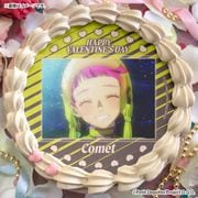 �Х�󥿥���ץꥱ����2026�ʥ���åȡˡ���ŵ�̥Хå��դ���[���Ρ�����]