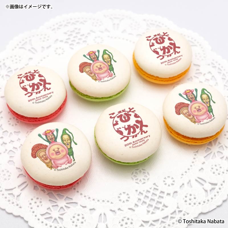 20周年記念プリマカロン6個セット【特典缶バッジ付き】[こびとづかん