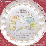 �ڥ�å���������������������ץꥱ����2026��C���ˡ���ŵ�̥Хå��դ���[���ߤå����餷]