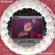 �ץꥱ�����ʺ���(��2��)�ˡ���ŵ�̥Хå��դ���[���Ρ�����]