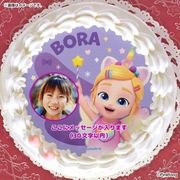 �ڼ̿���å���������ۥץꥱ����2026�ʥܥ顼�ˡ���ŵ�̥Хå��դ���[�٥٥ե���]