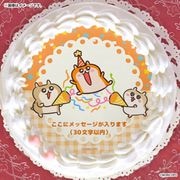�ڥ�å���������ۥץꥱ����2026�ʥ����ϥ�����(���ˤ�)�ˡ���ŵ�̥Хå��դ���[�����ϥ�����]